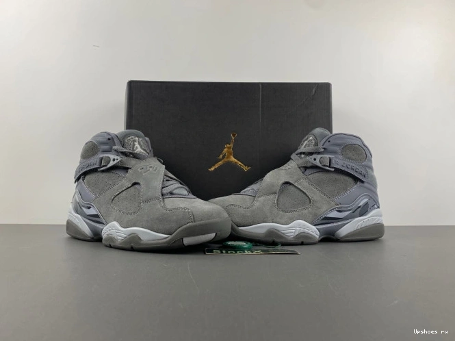 305381-014    8 Retro Jordan 0809